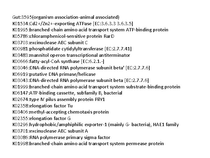 Gut: 3595(organism association-animal associated) K 01534: Cd 2+/Zn 2+-exporting ATPase [EC: 3. 6. 3.