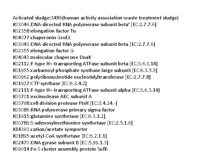 Activated sludge: 3486(human activity association-waste treatment sludge) K 03046: DNA-directed RNA polymerase subunit beta'