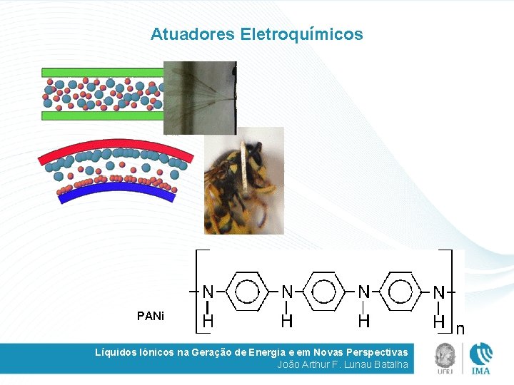 Atuadores Eletroquímicos PANi Líquidos Iônicos na Geração de Energia e em Novas Perspectivas João