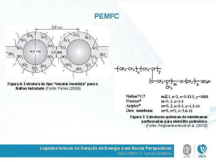 PEMFC Figura 6: Estrutura do tipo “micelar invertida” para o Nafion hidratado (Fonte: Perles