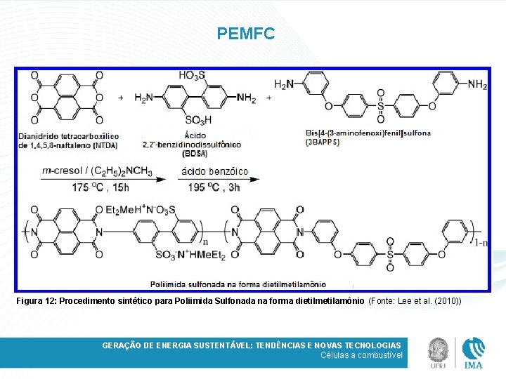 PEMFC Figura 12: Procedimento sintético para Poliimida Sulfonada na forma dietilmetilamônio (Fonte: Lee et