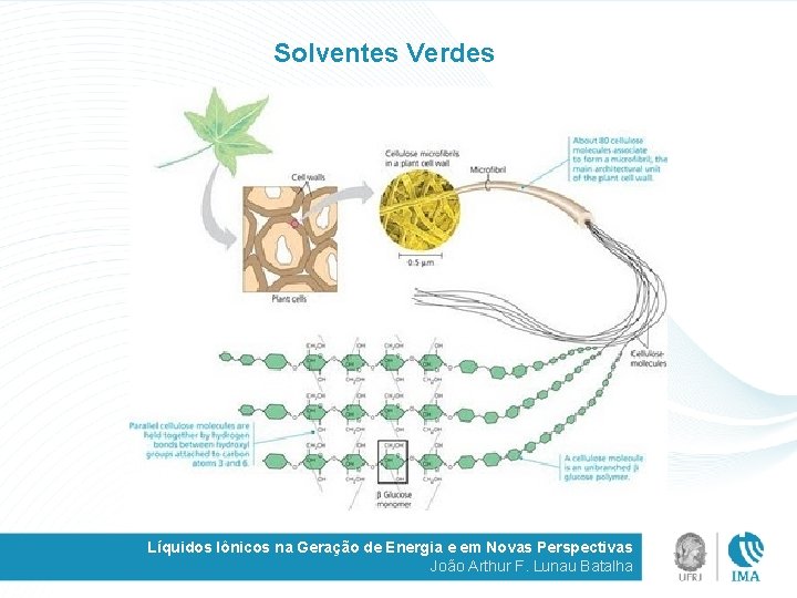 Solventes Verdes Líquidos Iônicos na Geração de Energia e em Novas Perspectivas João Arthur