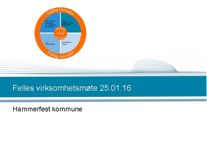 Felles virksomhetsmøte 25. 01. 16 Hammerfest kommune 