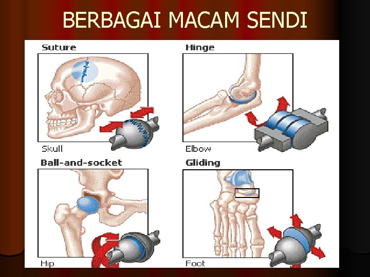 BERBAGAI MACAM SENDI 