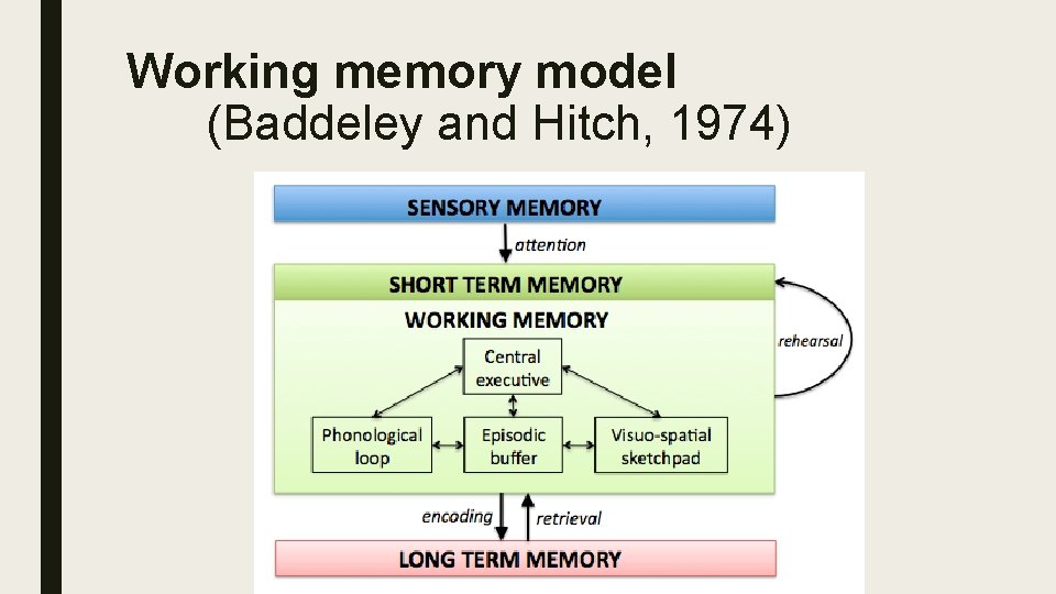 Working memory model (Baddeley and Hitch, 1974) 