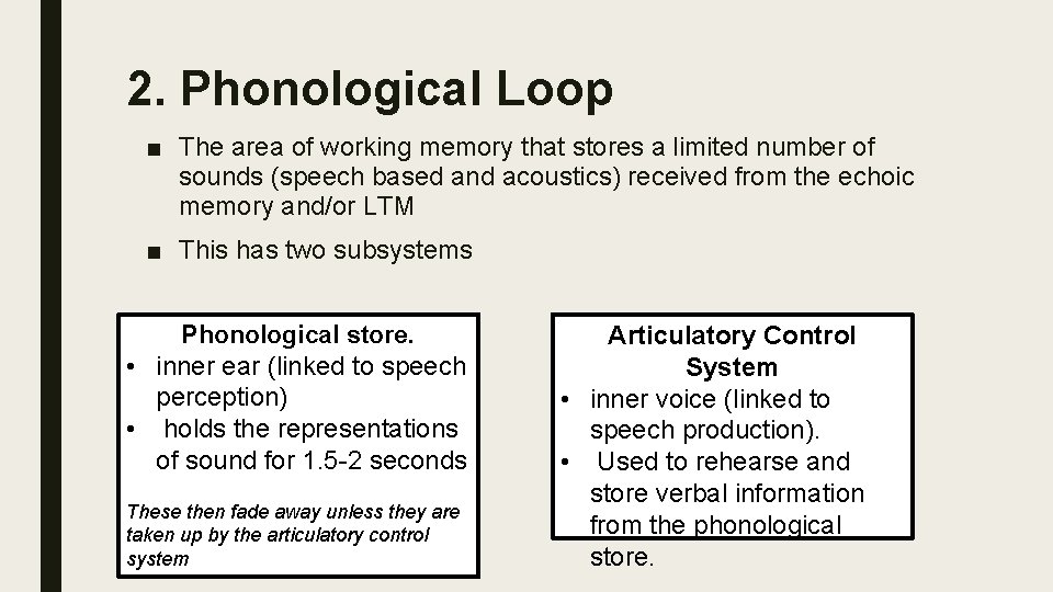 2. Phonological Loop ■ The area of working memory that stores a limited number