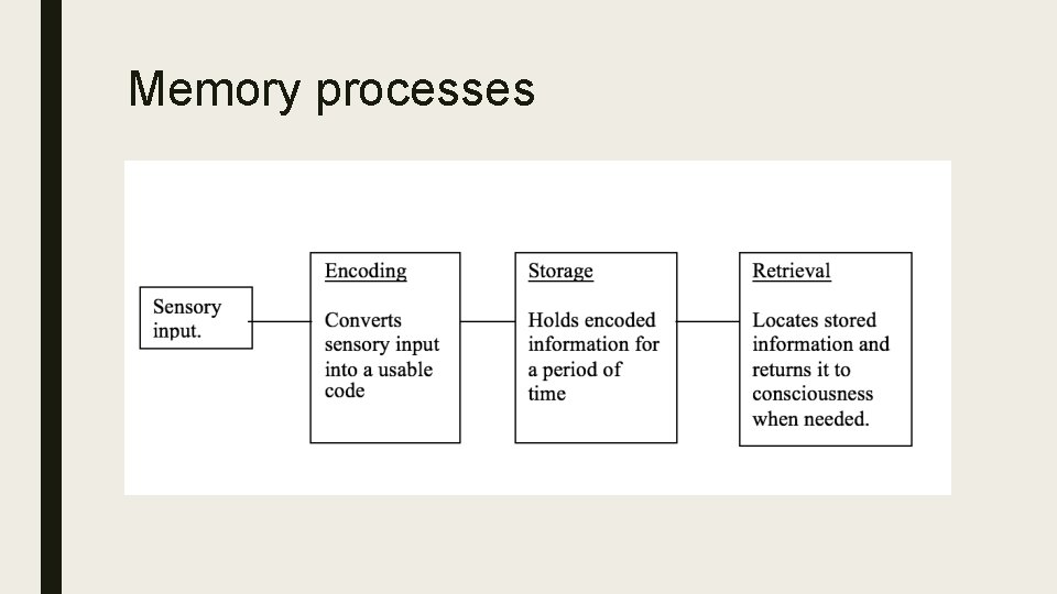 Memory processes 