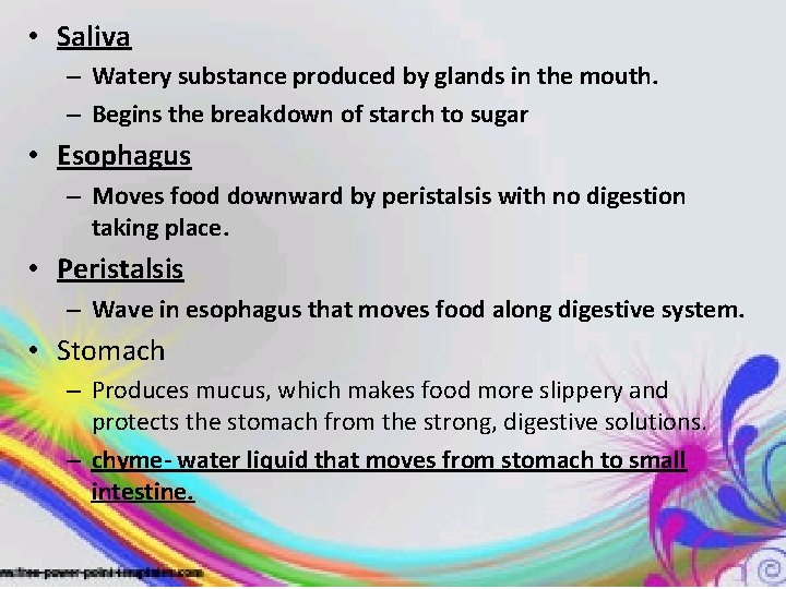  • Saliva – Watery substance produced by glands in the mouth. – Begins