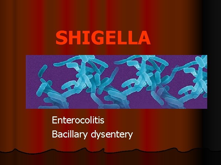 SHIGELLA Enterocolitis Bacillary dysentery 