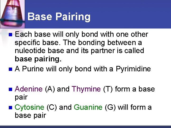 Base Pairing Each base will only bond with one other specific base. The bonding