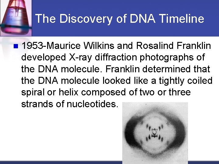 The Discovery of DNA Timeline n 1953 -Maurice Wilkins and Rosalind Franklin developed X-ray