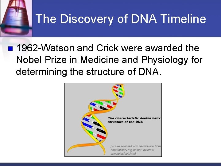 The Discovery of DNA Timeline n 1962 -Watson and Crick were awarded the Nobel