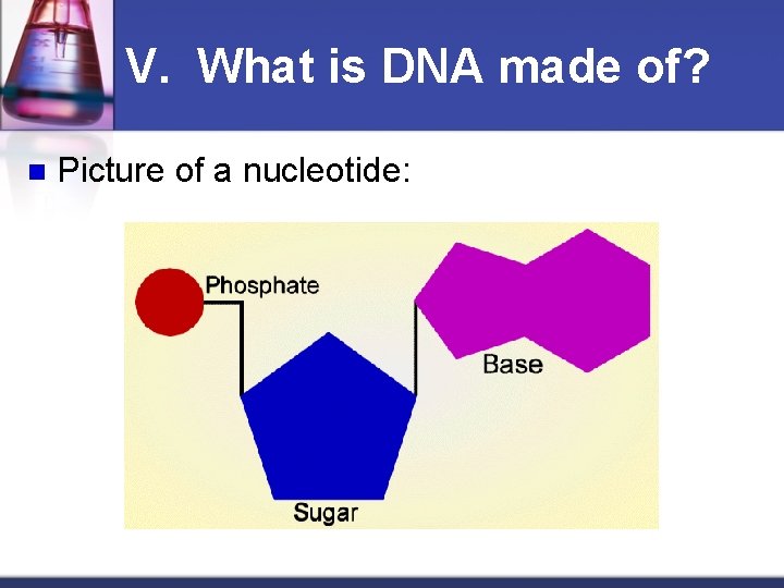 V. What is DNA made of? n Picture of a nucleotide: 