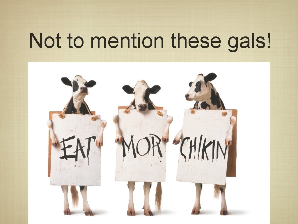 Not to mention these gals! 