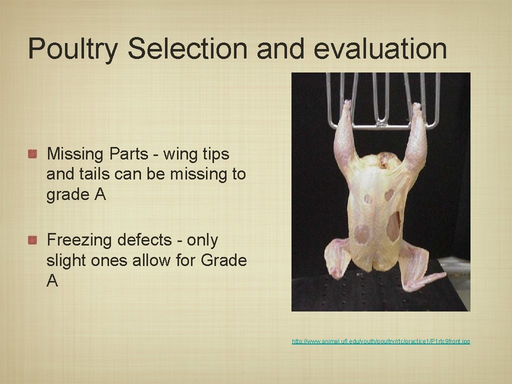 Poultry Selection and evaluation Missing Parts - wing tips and tails can be missing