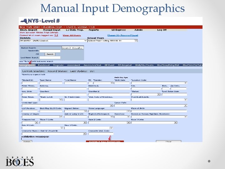 Manual Input Demographics 