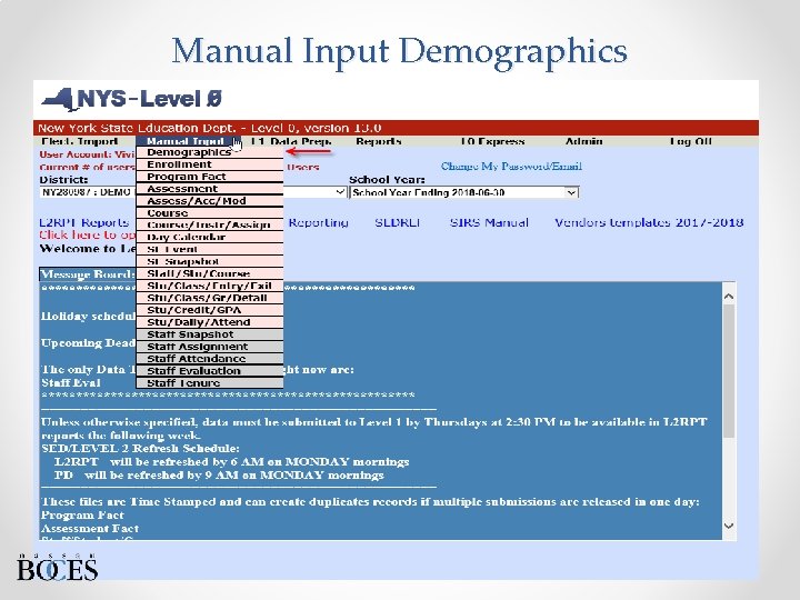 Manual Input Demographics 