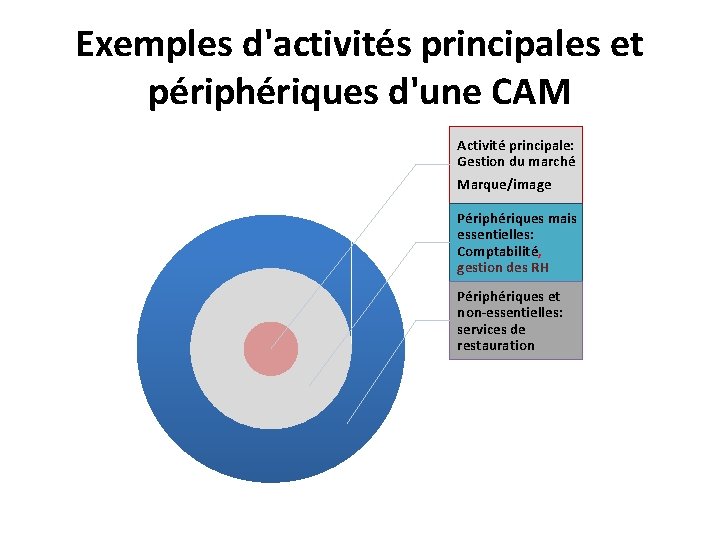 Exemples d'activités principales et périphériques d'une CAM Activité principale: Gestion du marché Marque/image Périphériques