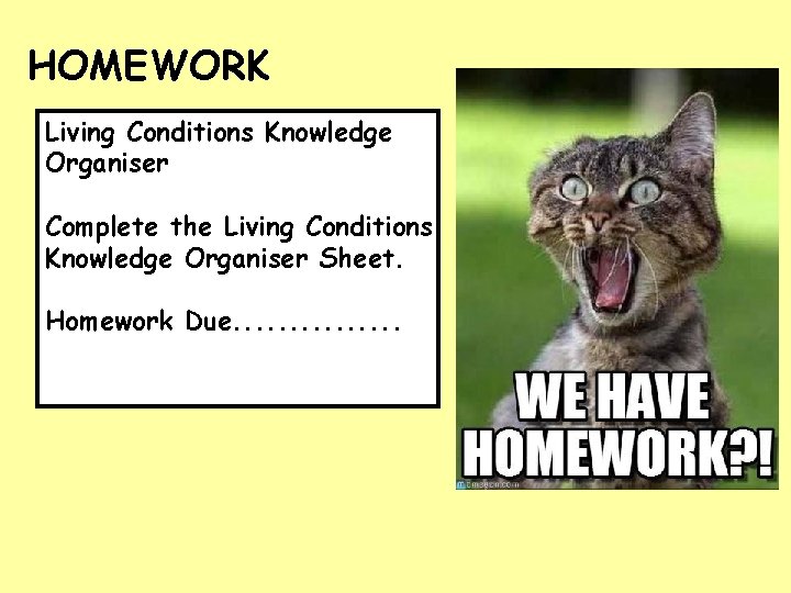 HOMEWORK Living Conditions Knowledge Organiser Complete the Living Conditions Knowledge Organiser Sheet. Homework Due.