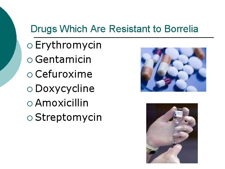 Drugs Which Are Resistant to Borrelia ¡ Erythromycin ¡ Gentamicin ¡ Cefuroxime ¡ Doxycycline