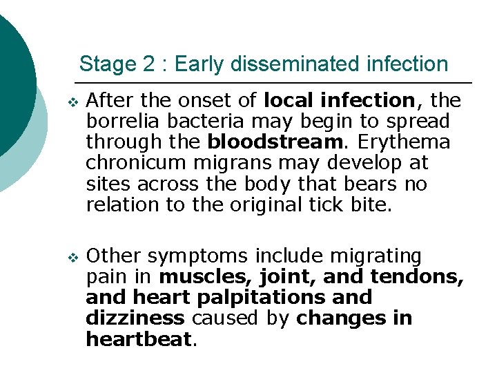 Stage 2 : Early disseminated infection v v After the onset of local infection,