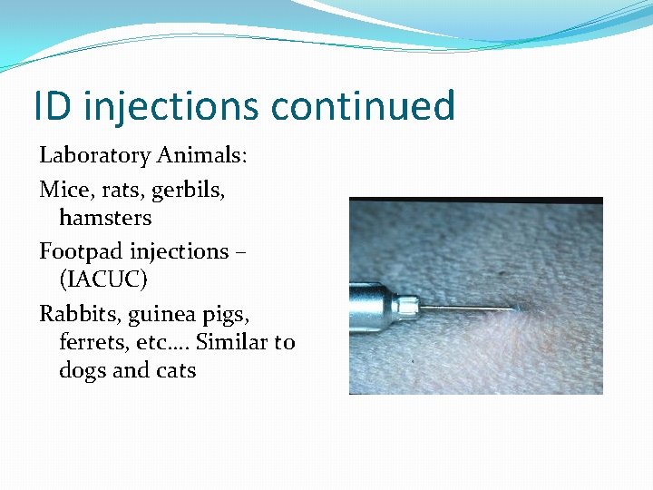 Routes of Administration Part 2 Intravenous Injections IV