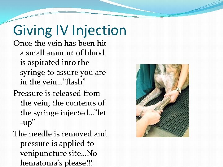 Iv Injection Routes Routes of Administration Part 2 Intravenous Injections IV