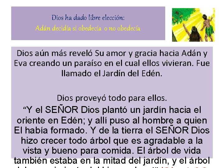 Dios ha dado libre elección: Adán decidía si obedecía o no obedecía Dios aún