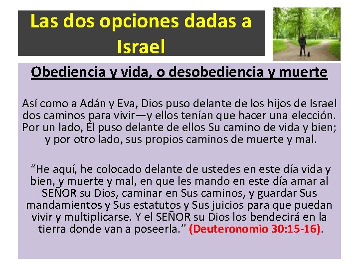Las dos opciones dadas a Israel Obediencia y vida, o desobediencia y muerte Así