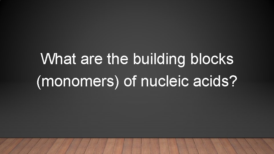 What are the building blocks (monomers) of nucleic acids? 