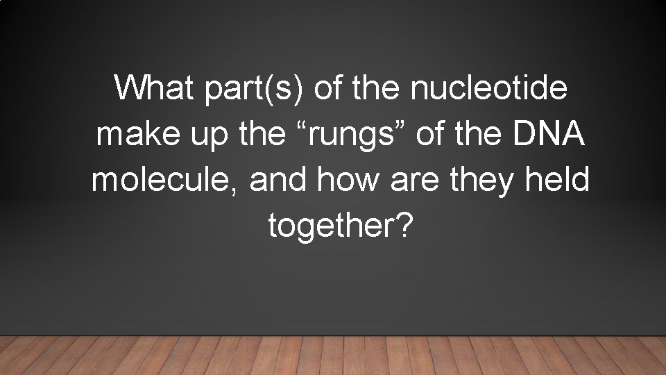 What part(s) of the nucleotide make up the “rungs” of the DNA molecule, and