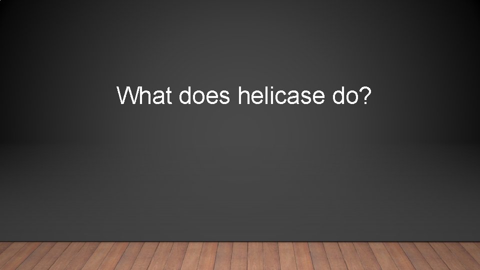 What does helicase do? 
