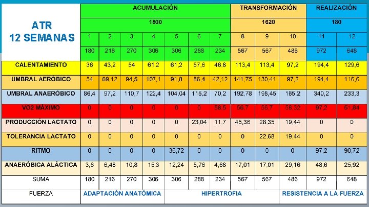 ATR 12 SEMANAS 9 