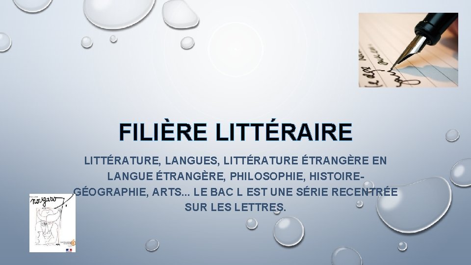 FILIÈRE LITTÉRAIRE LITTÉRATURE, LANGUES, LITTÉRATURE ÉTRANGÈRE EN LANGUE ÉTRANGÈRE, PHILOSOPHIE, HISTOIREGÉOGRAPHIE, ARTS. . .