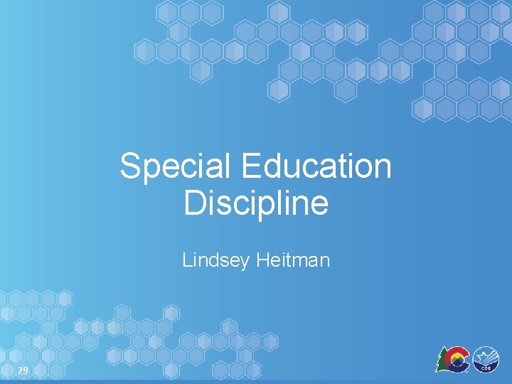 Special Education Discipline Lindsey Heitman 29 