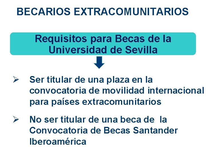 BECARIOS EXTRACOMUNITARIOS Requisitos para Becas de la Universidad de Sevilla Ø Ser titular de