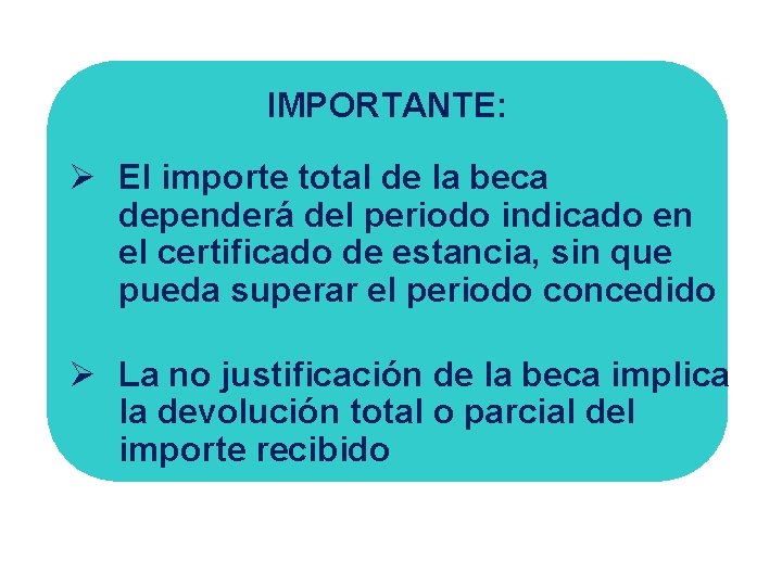 IMPORTANTE: Ø El importe total de la beca dependerá del periodo indicado en el