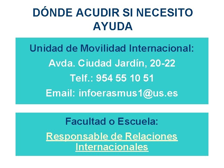 DÓNDE ACUDIR SI NECESITO AYUDA Unidad de Movilidad Internacional: Avda. Ciudad Jardín, 20 -22