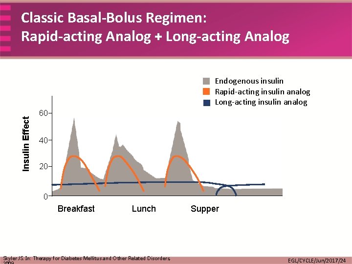 Classic Basal-Bolus Regimen: Rapid-acting Analog + Long-acting Analog Insulin Effect Endogenous insulin Rapid-acting insulin