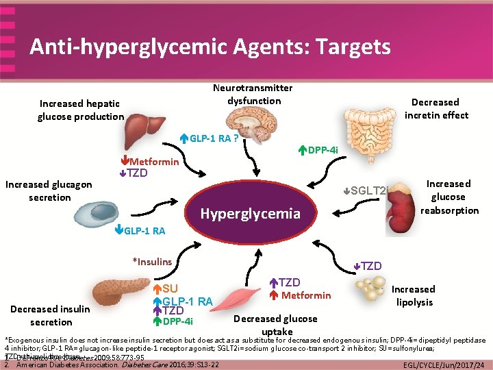 Anti-hyperglycemic Agents: Targets Neurotransmitter dysfunction Increased hepatic glucose production GLP-1 RA ? Increased glucagon