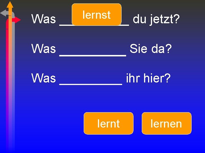 lernst Was _____ du jetzt? Was _______ Sie da? Was _____ ihr hier? lernt