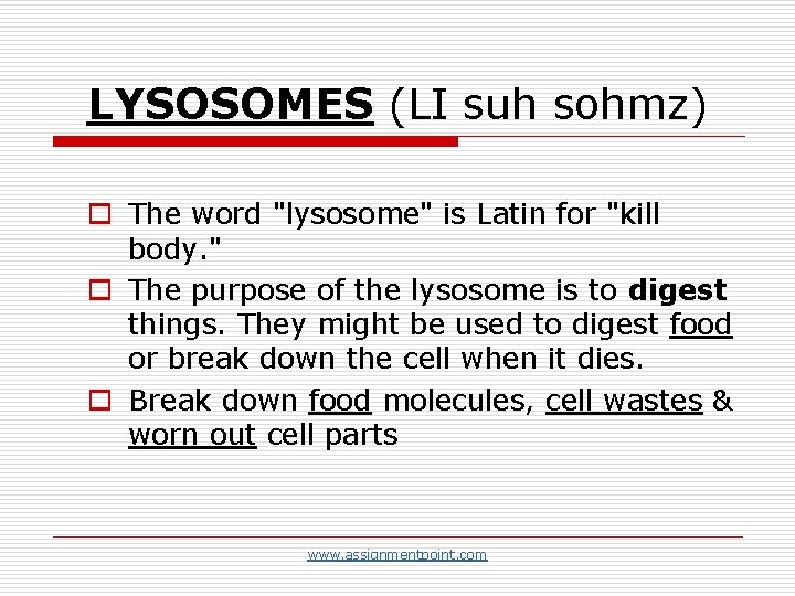 LYSOSOMES (LI suh sohmz) o The word "lysosome" is Latin for "kill body. "