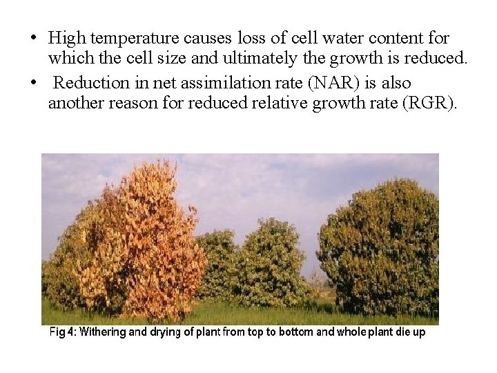  • High temperature causes loss of cell water content for which the cell