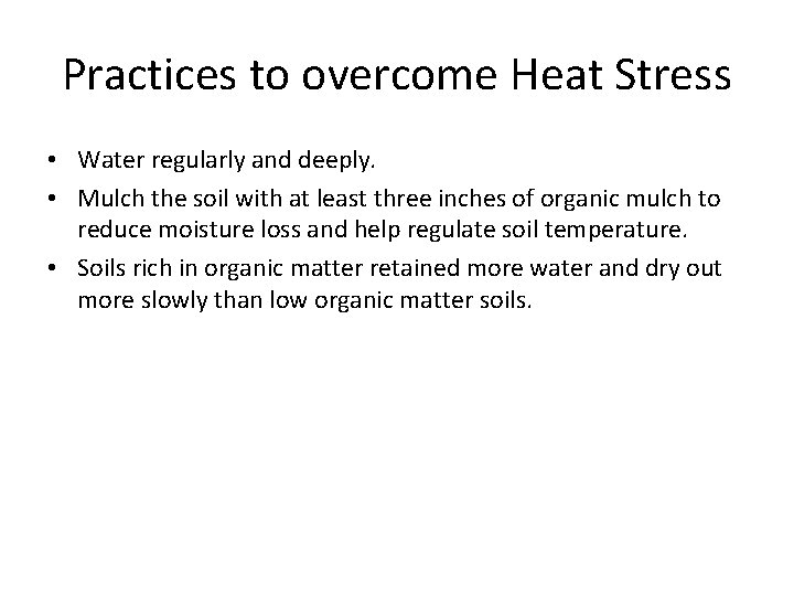 Practices to overcome Heat Stress • Water regularly and deeply. • Mulch the soil