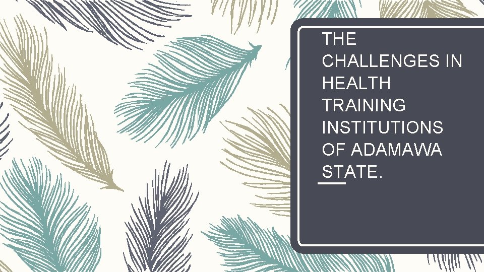 THE CHALLENGES IN HEALTH TRAINING INSTITUTIONS OF ADAMAWA STATE. 