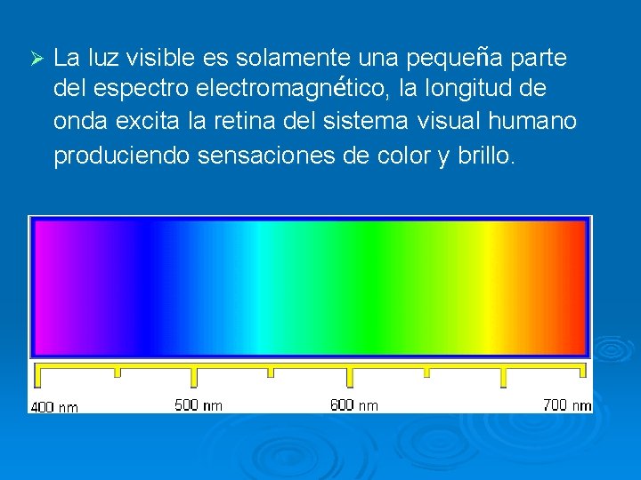 Ø La luz visible es solamente una pequeña parte del espectro electromagnético, la longitud