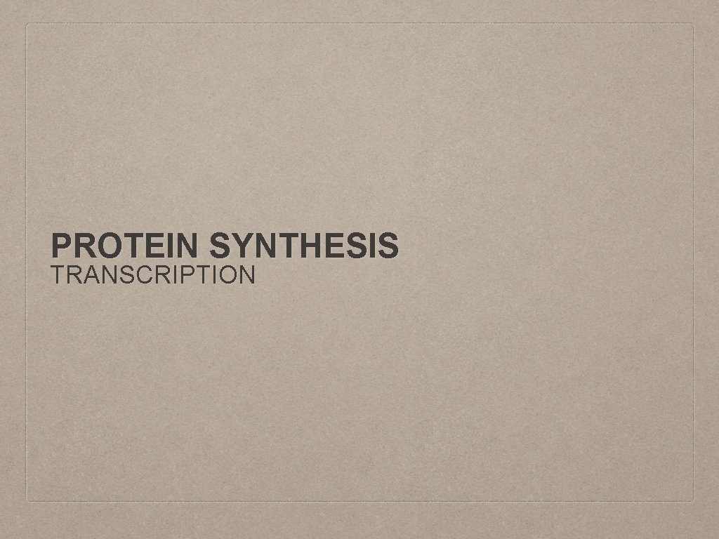 PROTEIN SYNTHESIS TRANSCRIPTION 
