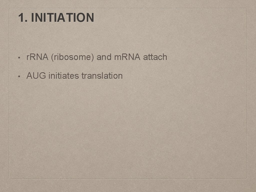 1. INITIATION • r. RNA (ribosome) and m. RNA attach • AUG initiates translation