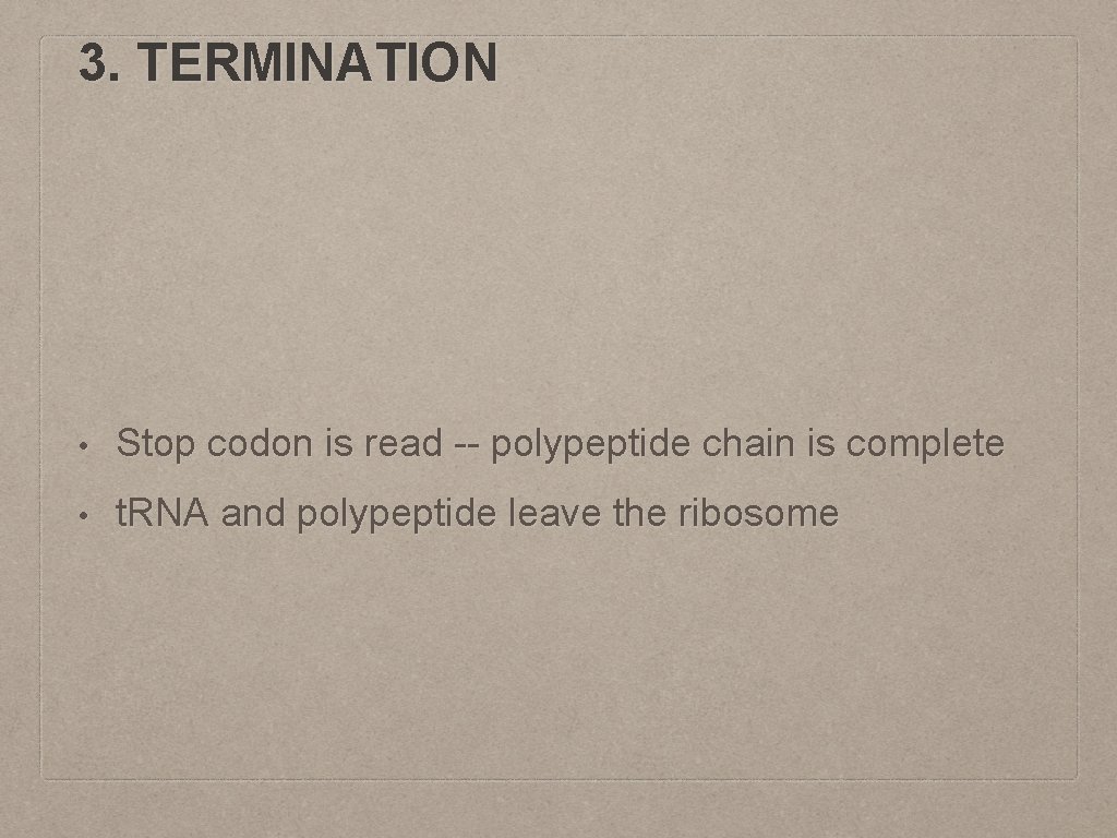 3. TERMINATION • Stop codon is read -- polypeptide chain is complete • t.