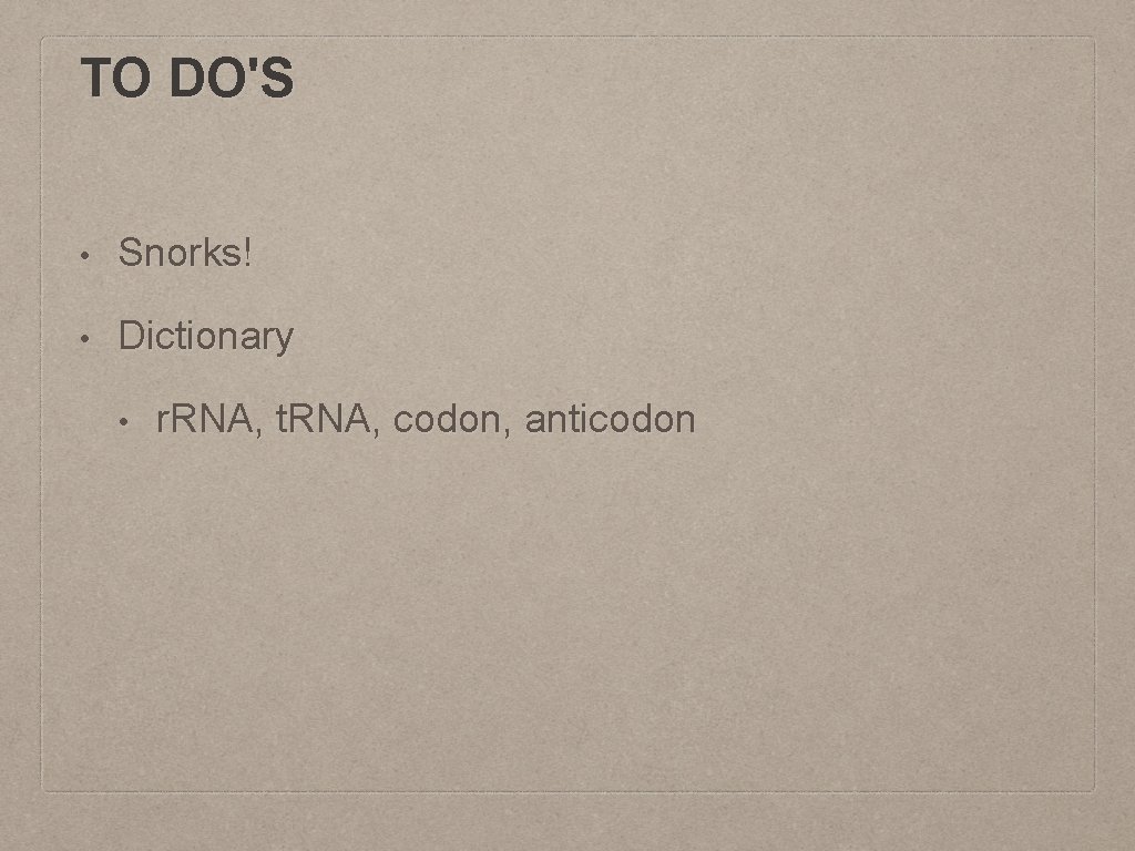 TO DO'S • Snorks! • Dictionary • r. RNA, t. RNA, codon, anticodon 